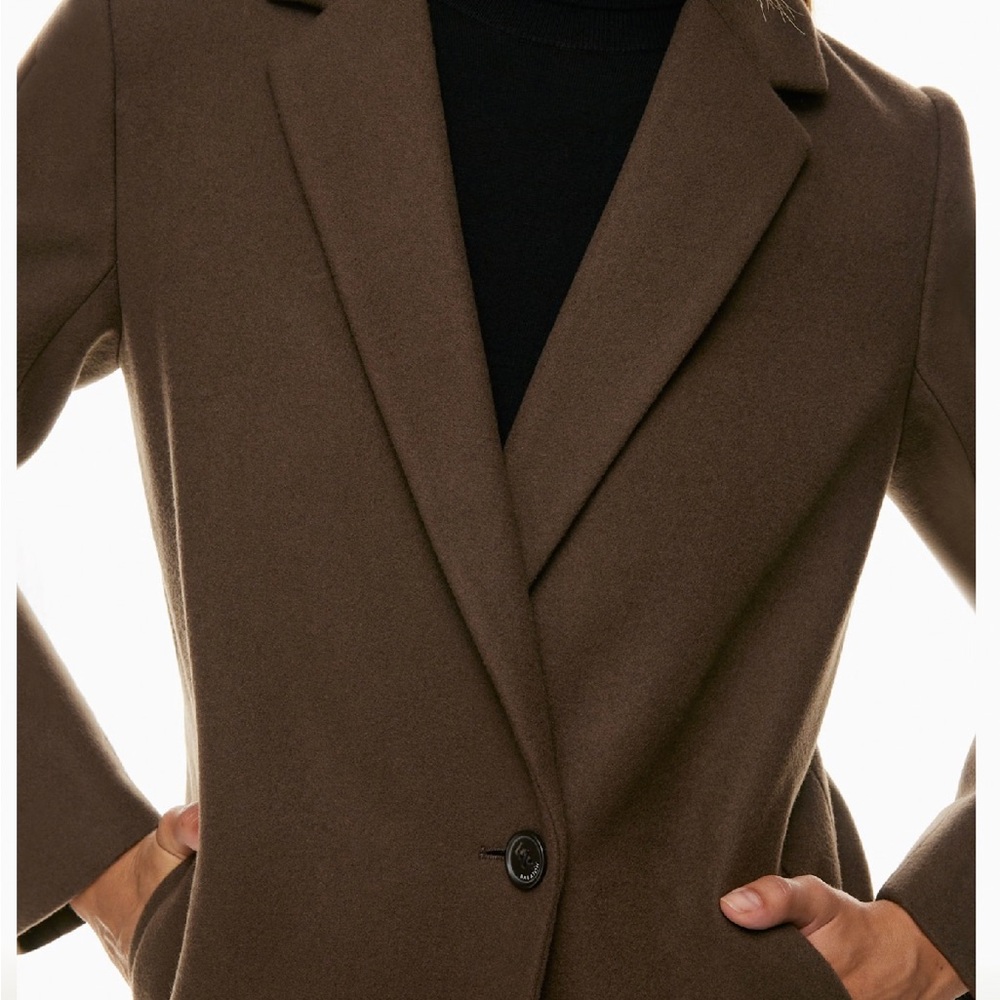 Aritzia Stedman Coat - Picture 4 of 8